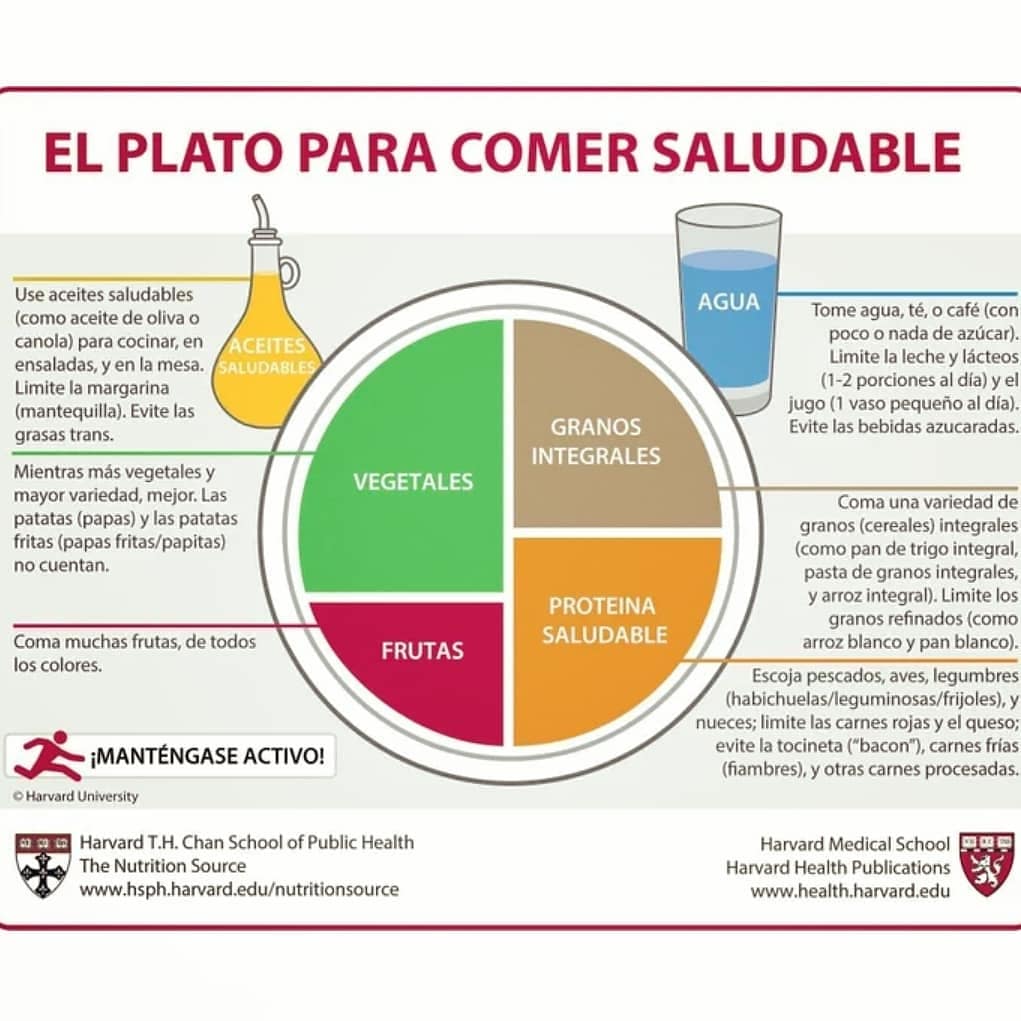 El Plato De Harvard Para Comer Saludable Realfoodaholic 2913